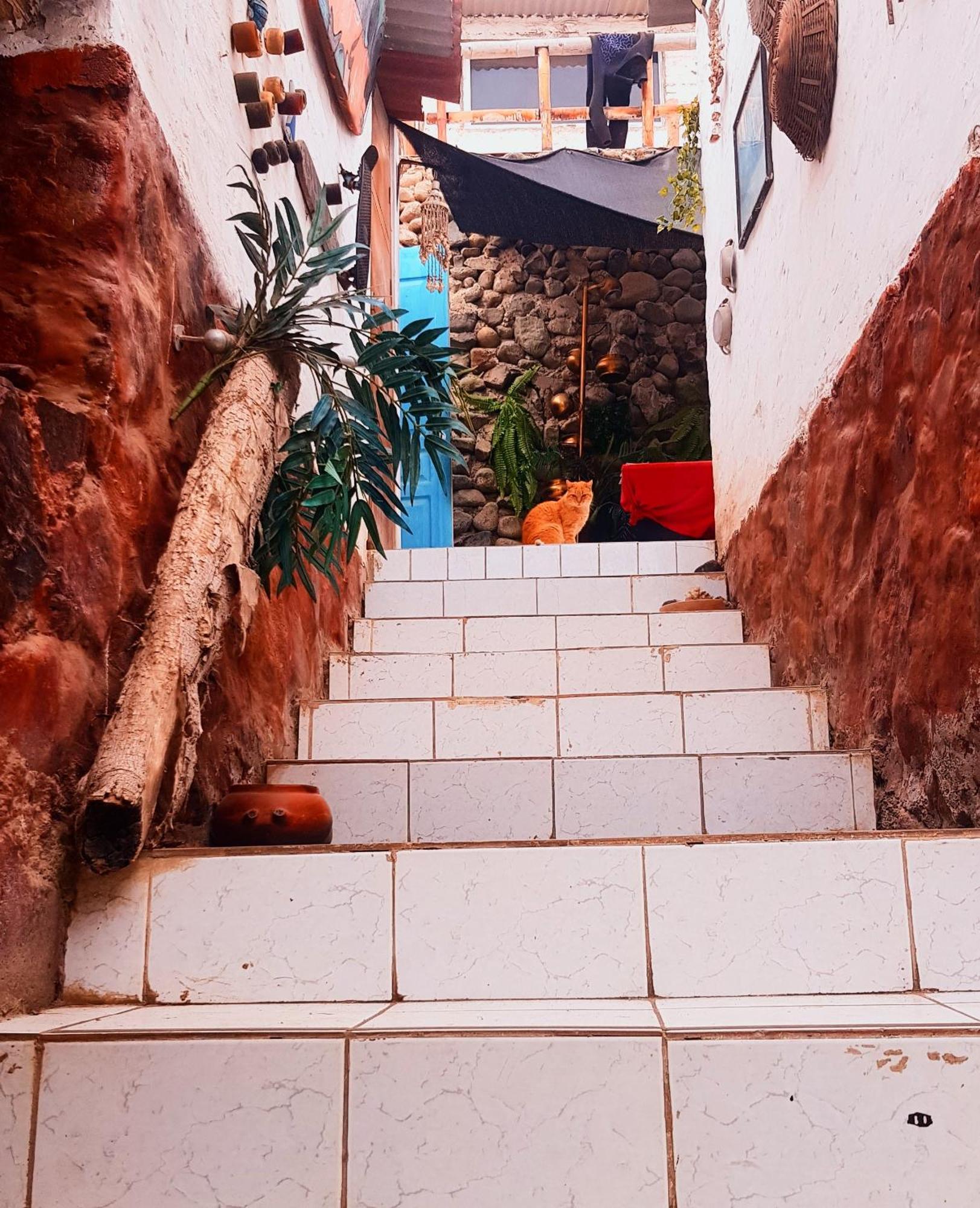Huanchaco Surf Camp Apartment Екстериор снимка